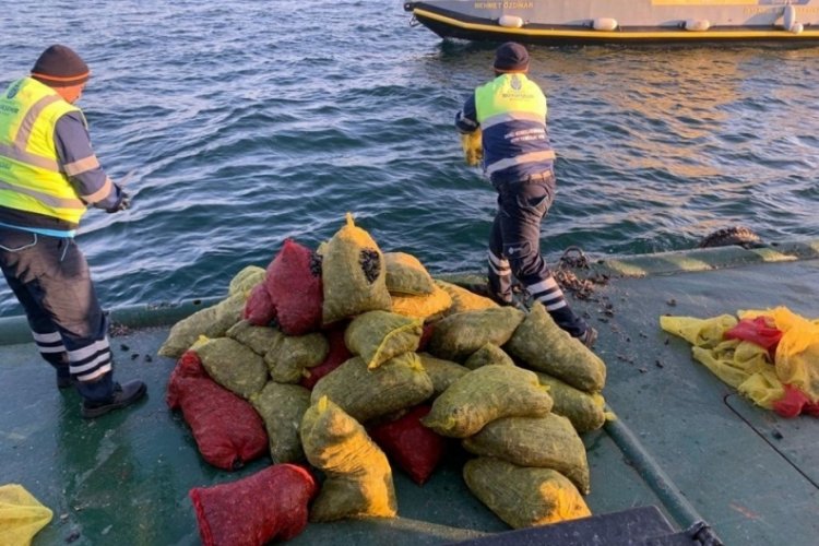 İstanbul'da 5 ton ka&ccedil;ak midye ele ge&ccedil;irildi: Canlı midyeler denize bırakıldı