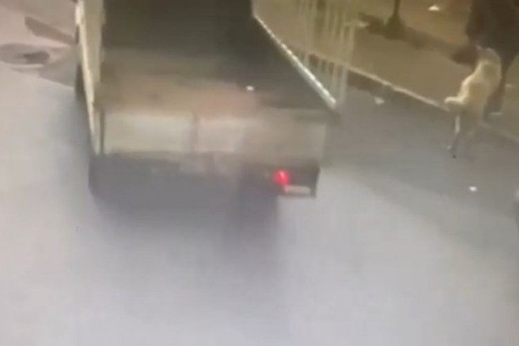 Bursa'da sahipli k&ouml;peği kamyonetle &ccedil;aldılar