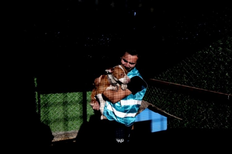 Bursa'da sokağa bırakılan pitbullar ile dost oldu