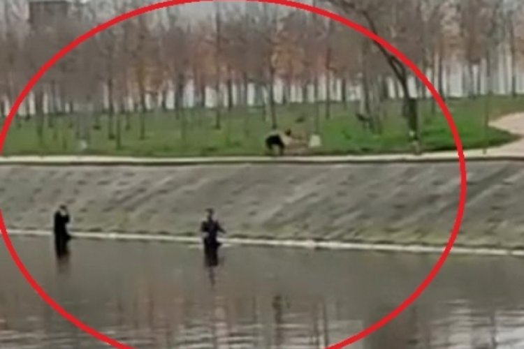 Kocaeli'de k&ouml;peklerden korkunca dereye girdiler