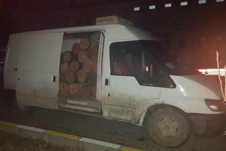 Ka&ccedil;ak kestikleri ağa&ccedil;larla birlikte yakalandılar