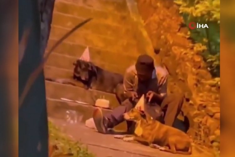 Evsiz adam doğum g&uuml;n&uuml;n&uuml; k&ouml;peklerle kutladı
