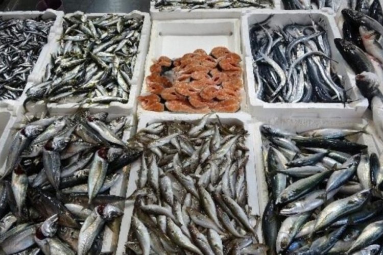 Hamsi ka&ccedil;ınca tezgahlar yavru uskumruyla doldu