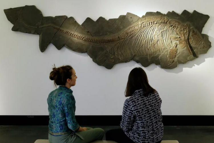 İngiltere'de paleontoloji tarihine ge&ccedil;en keşif