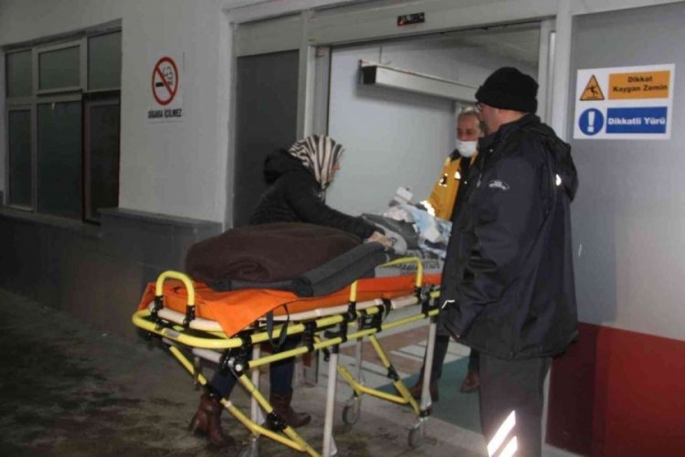 Sokak k&ouml;peklerinin saldırısına uğrayan &ccedil;ocuk ağır yaralı