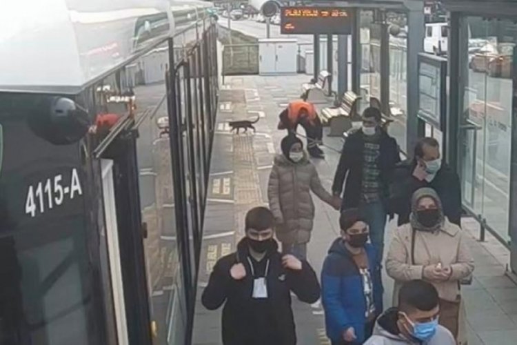 Kocaeli'de tramvay altına giren kediyi acil durum butonuna basan g&ouml;revli kurtardı