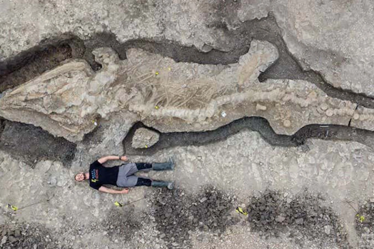 'Galiba bir dinozor buldum' diyen kişiyi dalga ge&ccedil;iyor sandılar!