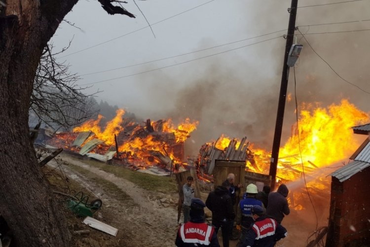 Kastamonu'da korkutan yangın! 2 ahşap ev ile samanlık yandı