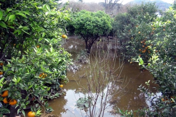 Muğla Bodrum'da yağmurun bilan&ccedil;osu; 131 ev ve iş yerini su bastı