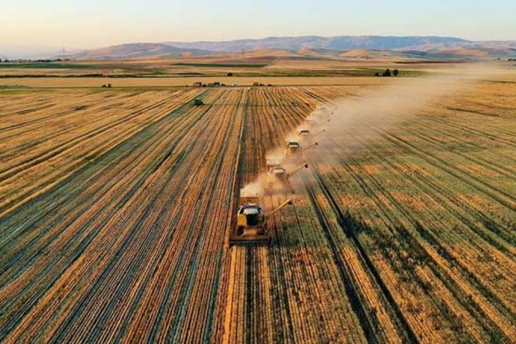 Tarım sekt&ouml;r&uuml;nde &uuml;retici enflasyonu yıllık y&uuml;zde 36,39 arttı