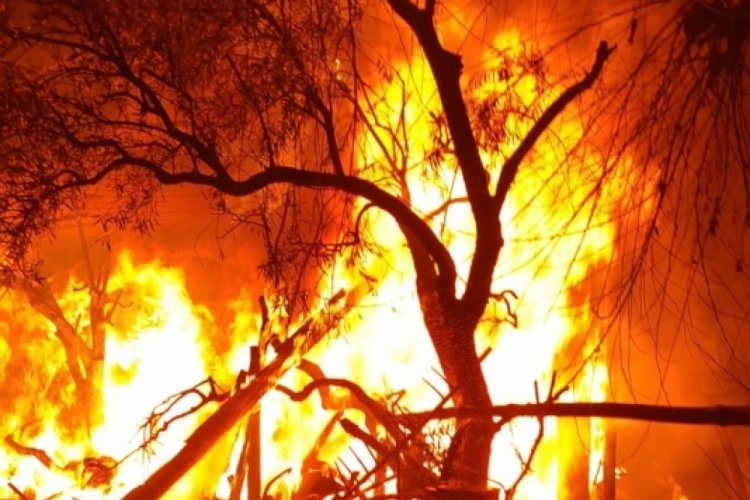 Aydın'daki korkutan yangın eve sı&ccedil;ramadan s&ouml;nd&uuml;r&uuml;ld&uuml;