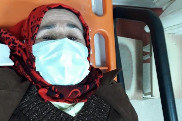 Aydın'da sokak k&ouml;pekleri yaşlı kadını hastanelik etti