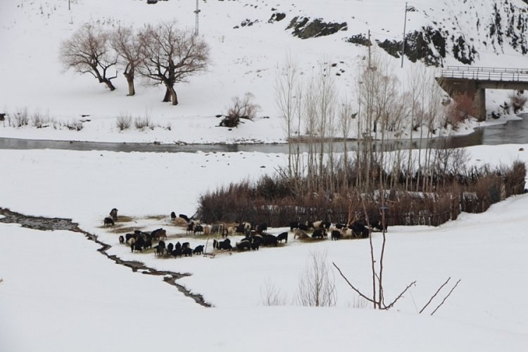 Bing&ouml;l Karlıova'da ev ve ahırlar, kar altında kaldı