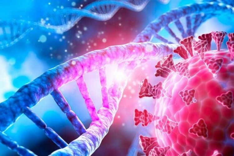 Covid'i hafif ge&ccedil;irenlerin sırrı &ccedil;&ouml;z&uuml;ld&uuml;: Bu varyant bambaşka