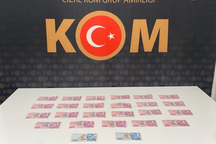 Şırnak'ta ka&ccedil;ak&ccedil;ılık operasyonlarında 81 kişiye g&ouml;zaltı