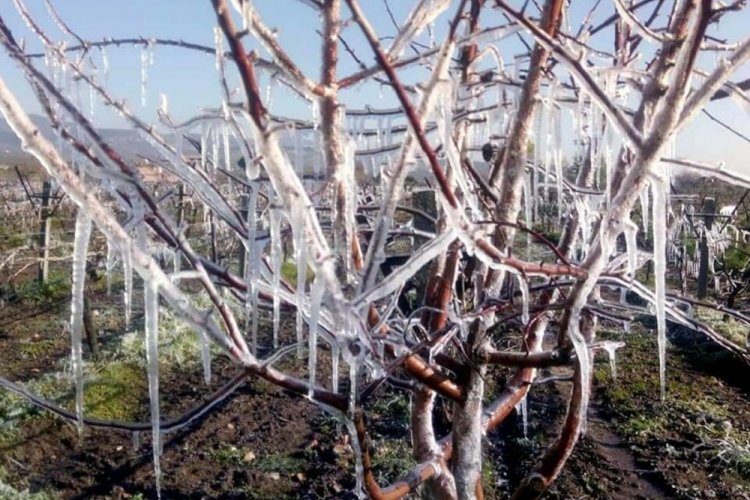 Ege i&ccedil;in fırtına ve zirai don uyarısı