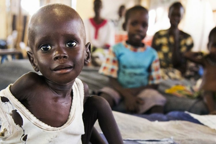 Afrika'da milyonlarca kişi şiddetli kuraklıkla karşı karşıya