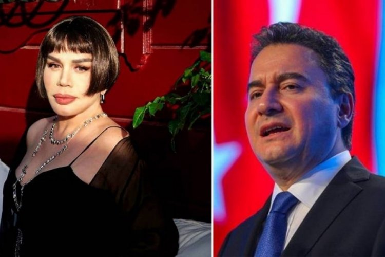 Ali Babacan'dan Sezen Aksu'ya destek!