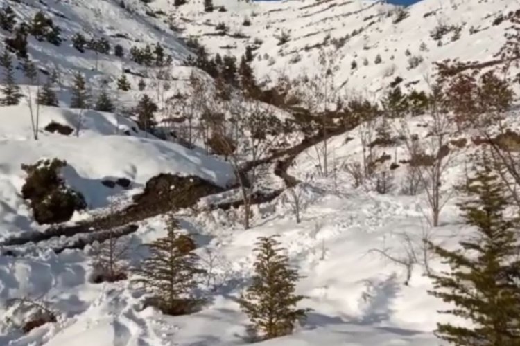 Artvin'de eşini boş araziye g&ouml;md&uuml; 3 yıl sonra teslim oldu