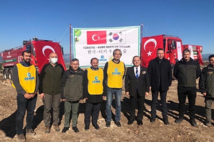 'T&uuml;rk-Kore Dostluk Ormanları'nın 5'incisi Muğla Milas'a