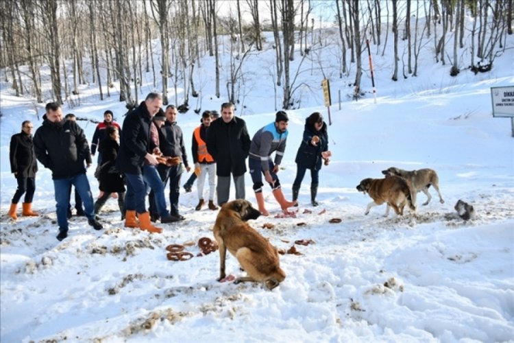 Bursa İneg&ouml;l'de yaban hayvanları unutulmadı