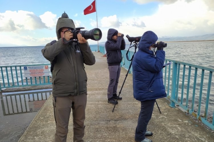 Bursa'nın sulak alanlarında kuş sayımı