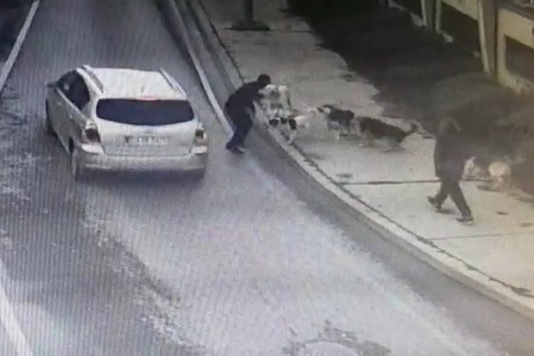 İstanbul Bakırk&ouml;y'de iş adamına 6 k&ouml;pek saldırdı