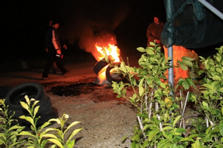 Mersin'de zirai don n&ouml;beti başladı