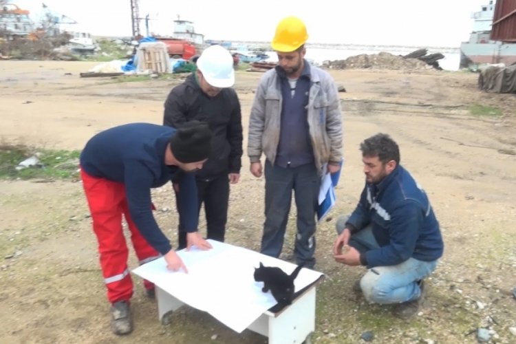 Bursa'da haber &ccedil;ekimine kara kedi sabotajı