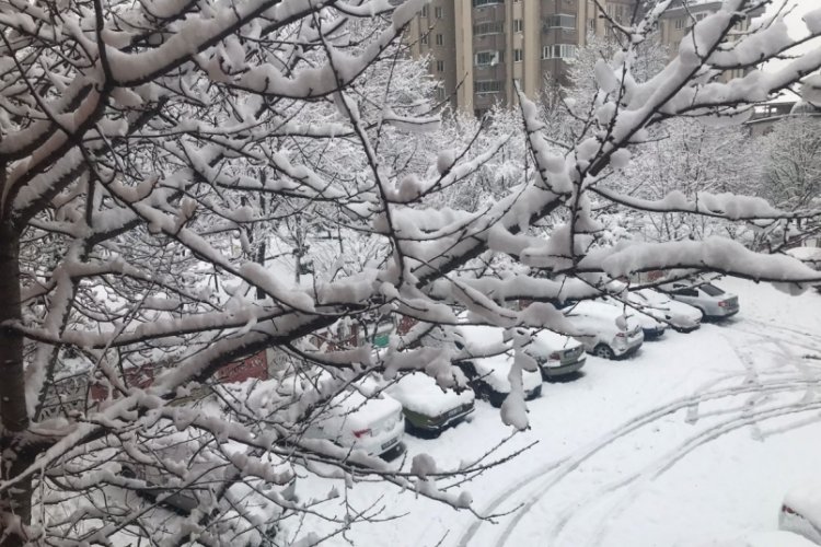Bursa'da karla birlikte nadir g&ouml;r&uuml;len hava olayı