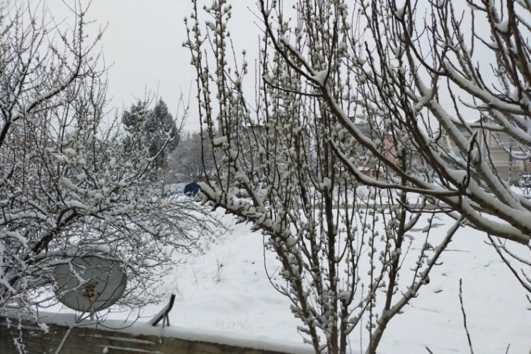 Meteorolojiden Denizlili &ccedil;ift&ccedil;ilere zirai don uyarısı