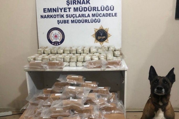 Tırın zulasını zehirle doldurmuş!