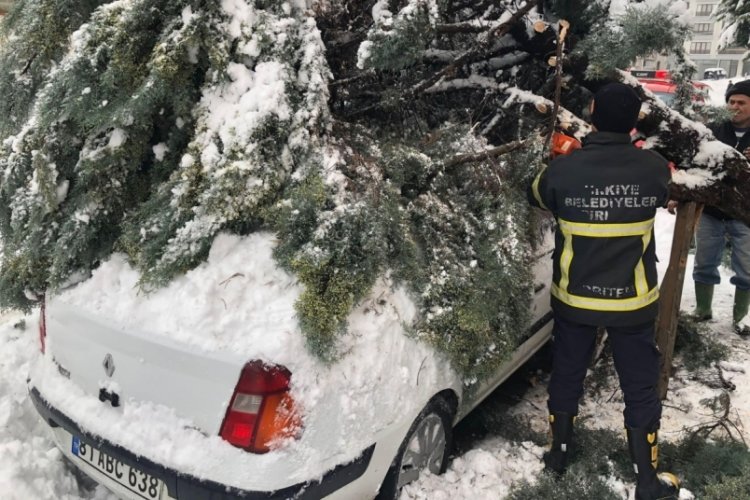 Kar yağışına dayanamayan ağa&ccedil;, otomobilin &uuml;zerine devrildi