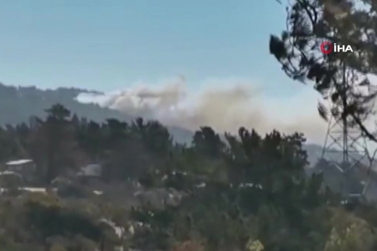 Şili  Laguna Verde kasabasında orman yangını! Kırmızı alarm verildi