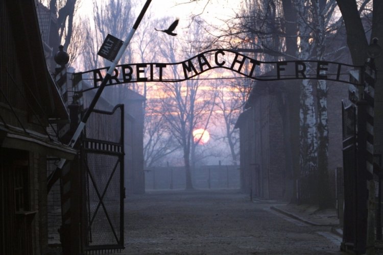 Auschwitz'te Nazi selamı veren Hollandalı bir turist g&ouml;zaltına alındı