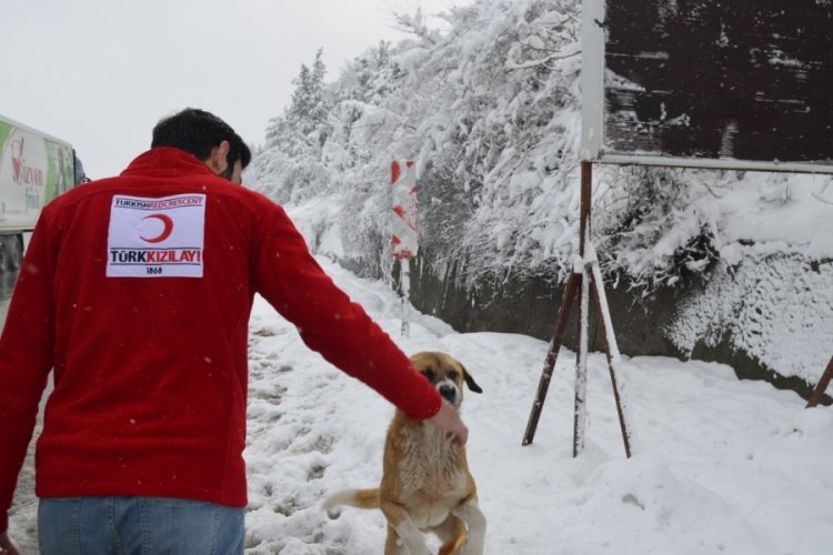 Bursa Kızılay'dan y&uuml;rekleri ısıtan &ccedil;alışma