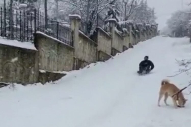 Kayarken 4 metre havalanarak ağaca b&ouml;yle &ccedil;arptı