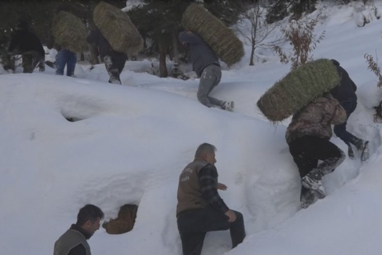Artvin'de karlı yolları aşıp, hayvanlar i&ccedil;in doğaya yem bıraktılar