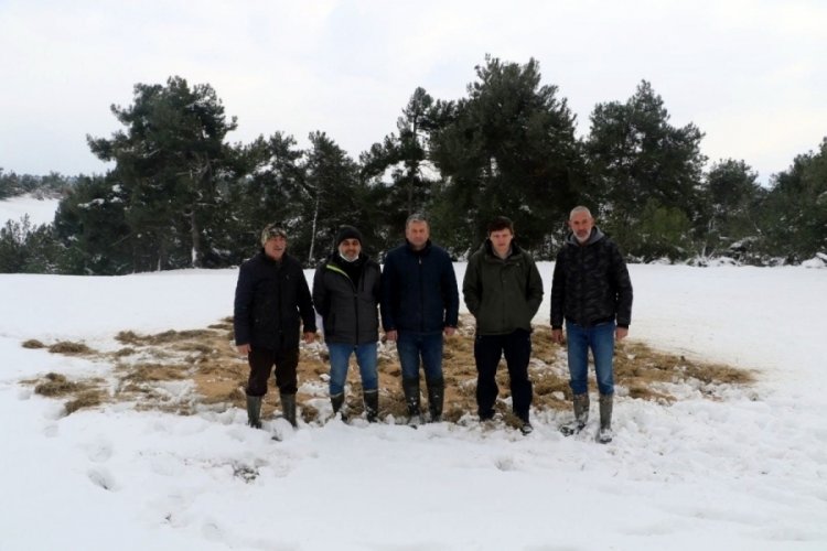 Bursa'nın Yenişehirli avcılarından &ouml;rnek davranış