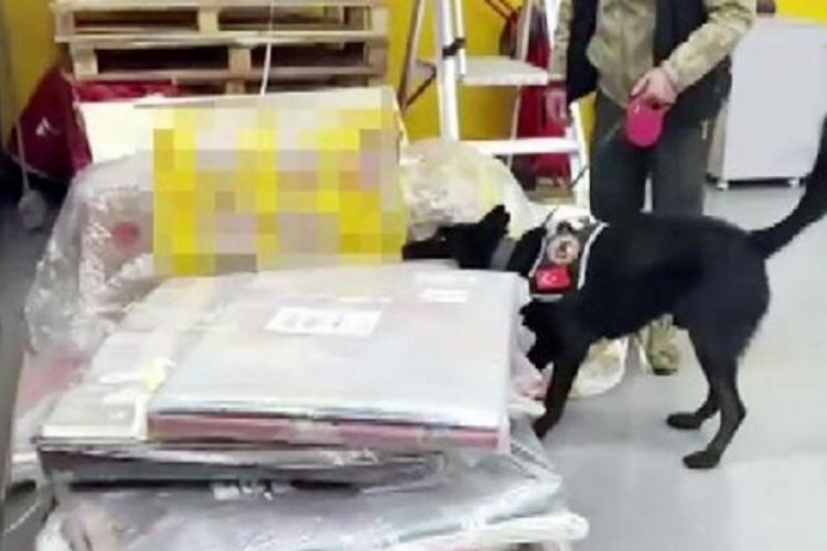 Kargo firmasının şubesinde uyuşturucu madde bulundu