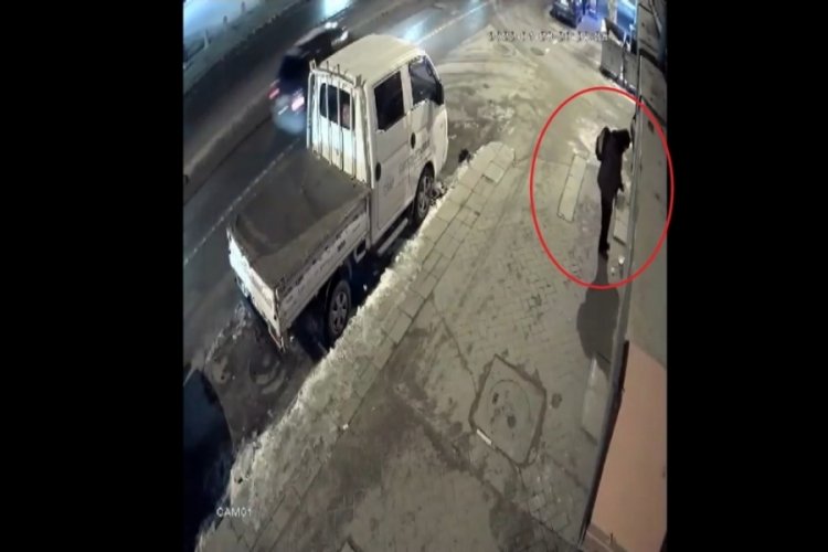 Sokak hayvanları i&ccedil;in bırakılan mamayı &ccedil;aldı