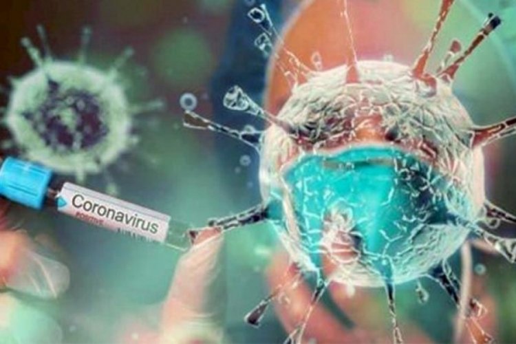 Prof. Dr. Y&uuml;ksel: Koronavir&uuml;s &ccedil;ocuklarda saklı vir&uuml;sleri tetikliyor