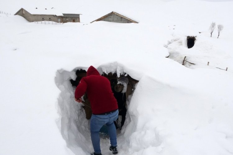 Muş'ta bir k&ouml;y kara g&ouml;m&uuml;ld&uuml;! Besiciler t&uuml;nellerle ulaşımı sağlıyorlar