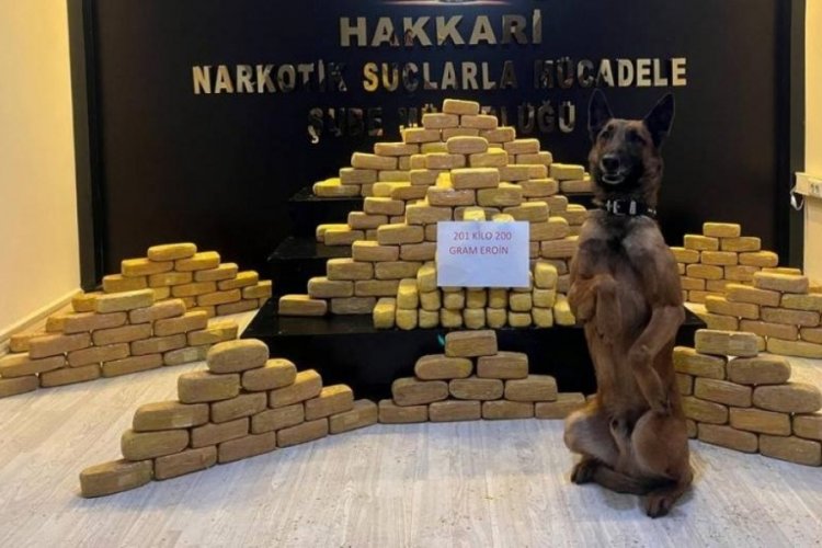 'Ayzek', gizlenen 201 kilo eroini buldu
