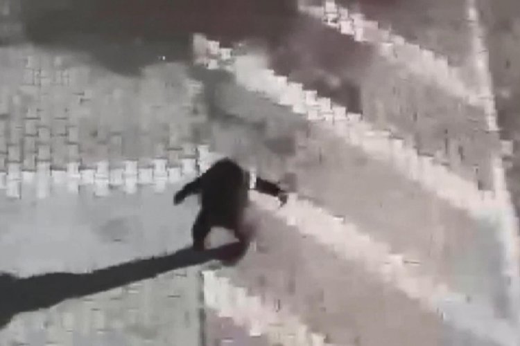 Esenyurt'ta &ouml;nce yaraladı sonra kayda aldı