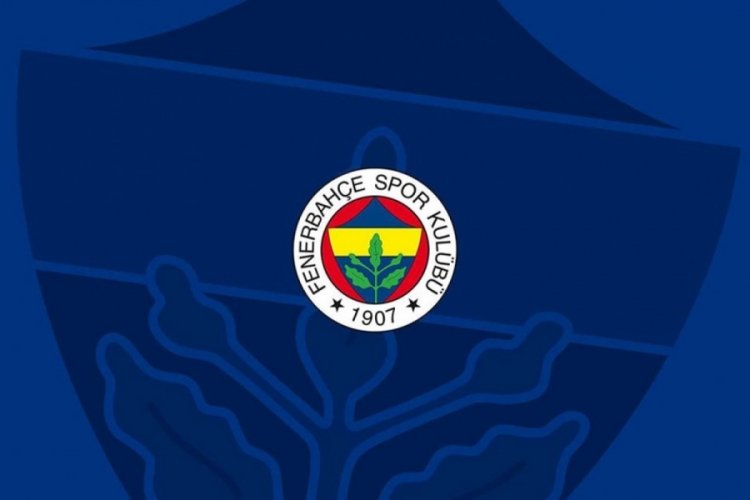 Fenerbah&ccedil;e, 2010-2011 sezonu şampiyonluğu i&ccedil;in TFF'ye başvurdu