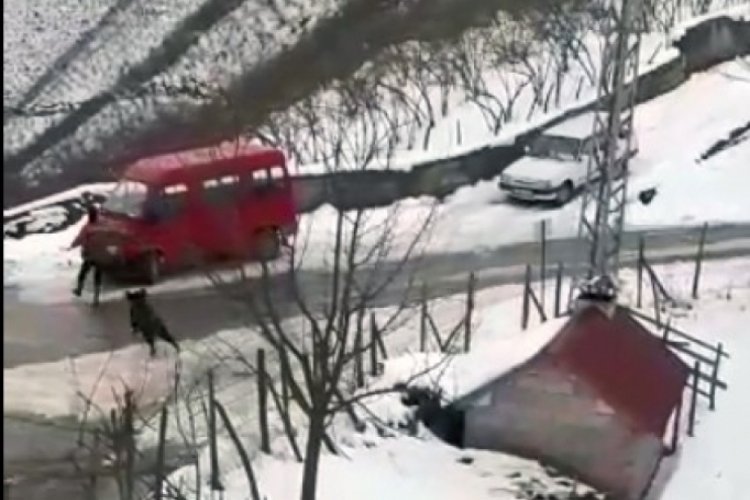 Domuzdan ka&ccedil;an gen&ccedil; kendini otomobilin &uuml;zerine attı