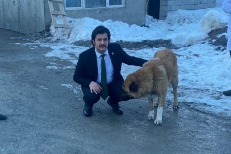 Vali Yardımcısı şiddet g&ouml;ren iki k&ouml;peği sahiplendi