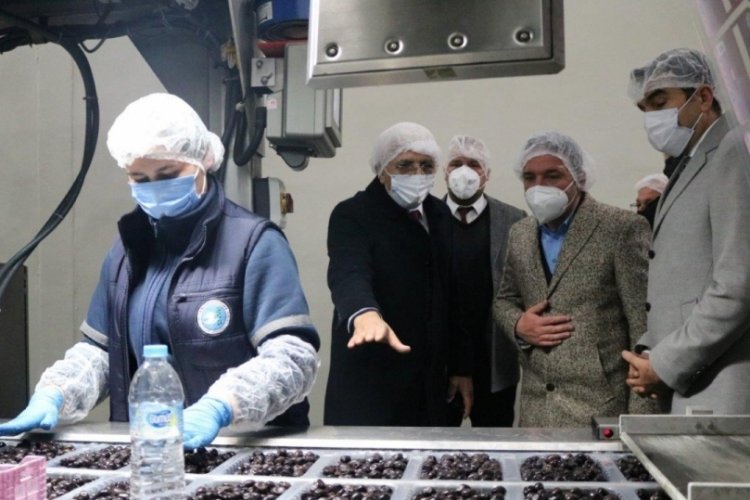 AK Parti Bursa Milletvekili &Ouml;d&uuml;n&ccedil; Marmarabirlik'i ziyaret etti