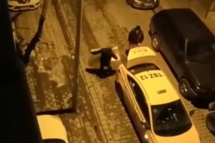 İstanbul Sultangazi'de petek hırsızlığı